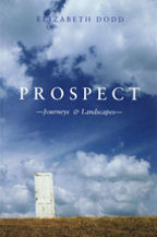 Prospect, Book Cover, Elizabeth Dodd